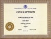 Working Certificate